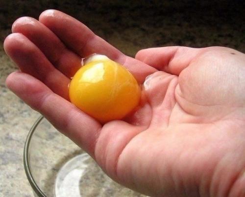 Бостонский кремовый торт. 01