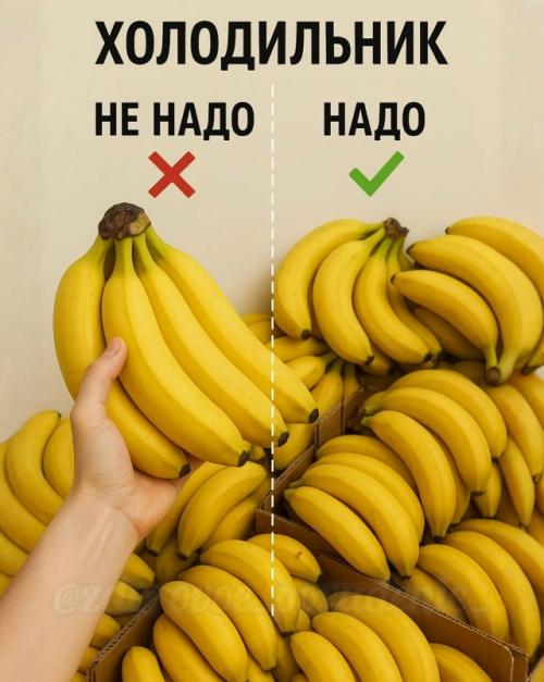 Холодильник: что не надо класть, а что надо - и почему.

