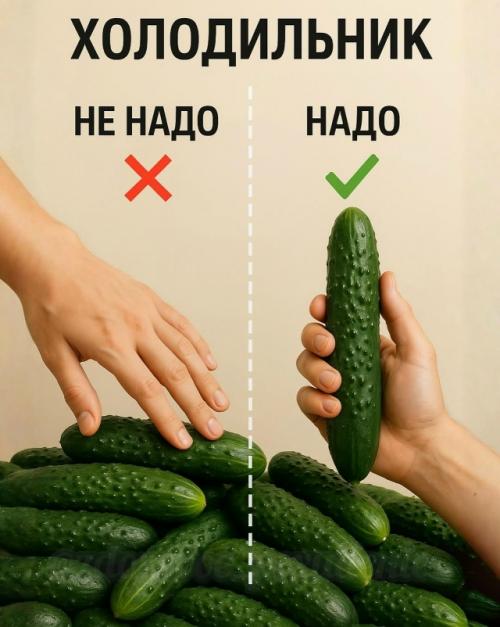 Холодильник: что не надо класть, а что надо - и почему. 03 Холодильник: что не надо класть, а что надо - и почему. 03