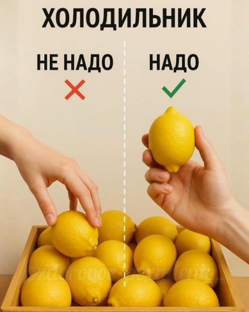 Холодильник: что не надо класть, а что надо - и почему. 05 Холодильник: что не надо класть, а что надо - и почему. 05