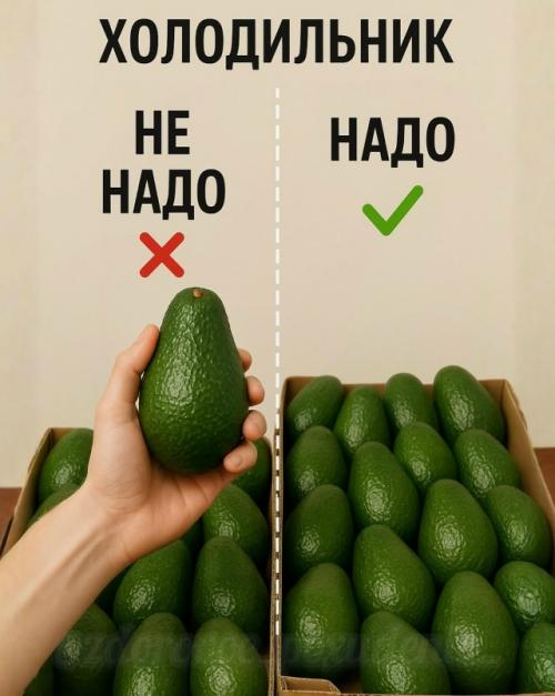 Холодильник: что не надо класть, а что надо - и почему. 04 Холодильник: что не надо класть, а что надо - и почему. 04