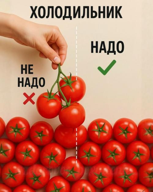 Холодильник: что не надо класть, а что надо - и почему. 02 Холодильник: что не надо класть, а что надо - и почему. 02
