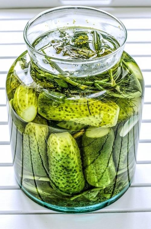 Огурчики Болгария Отдыхает.