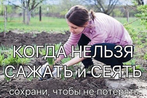 Когда нельзя сажать и сеять. Когда нельзя сажать и сеять.