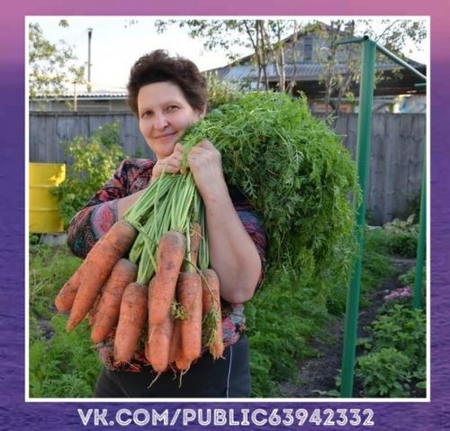 Интересно.  Я морковь сeю cледующим обрaзом.