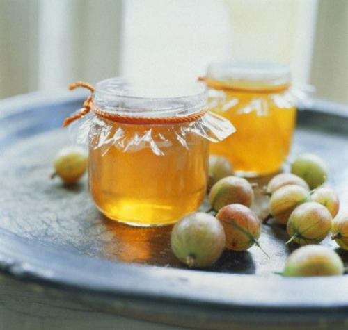 Заготовки из крыжовника. 03