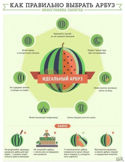 Как правильно выбрать дыню и арбуз.