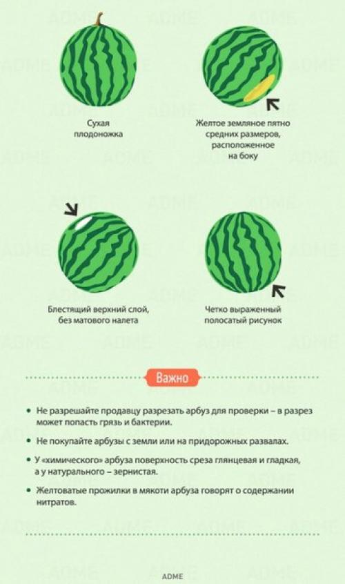 Как правильно выбрать дыню и арбуз. 02