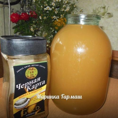 Кофейный квас.   Марина гармаш.