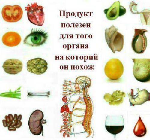 Божественная аптека.  Подсказки господа бога.