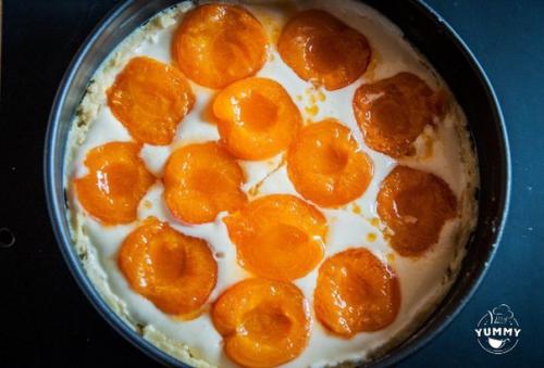 Пирог из полу - песочного теста с творогом и абрикосами. 08