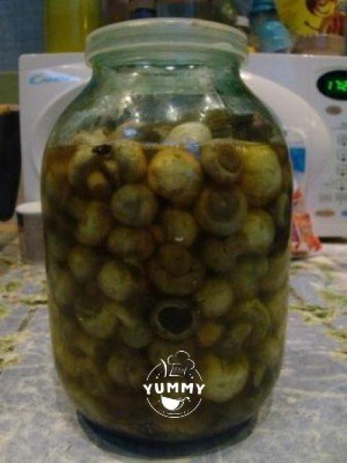 Мамины грибочки. * Любимый рецепт, попробуйте. 06