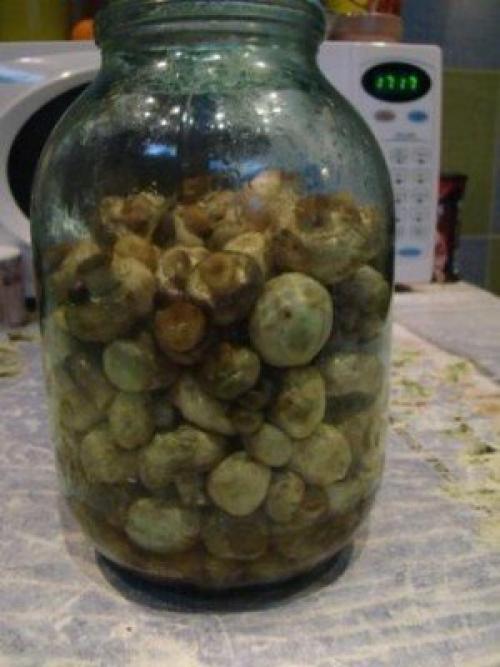 Мамины грибочки. * Любимый рецепт, попробуйте. 04