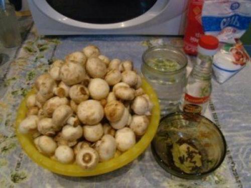 Мамины грибочки. * Любимый рецепт, попробуйте. 01