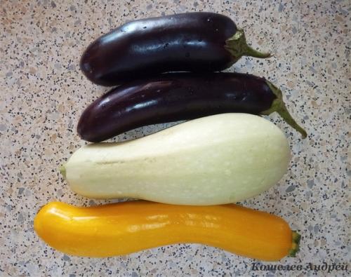 Шаурма на углях с курицей. 02 Шаурма на углях с курицей. 02