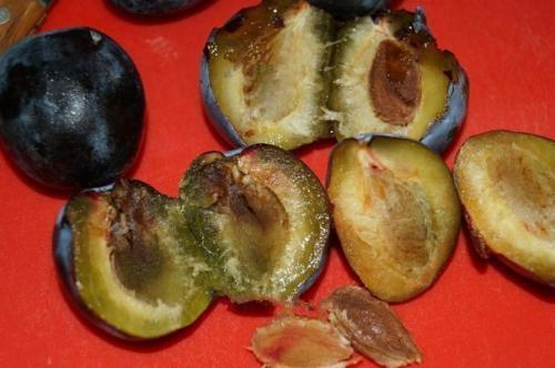 Рецепт творожного пирога со сливами. 04