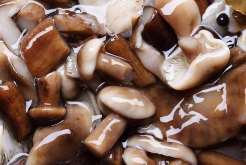 8 заготовок грибов. 05