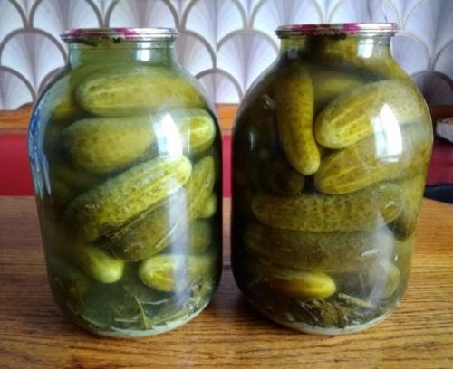 Бочковые огурцы в банках.