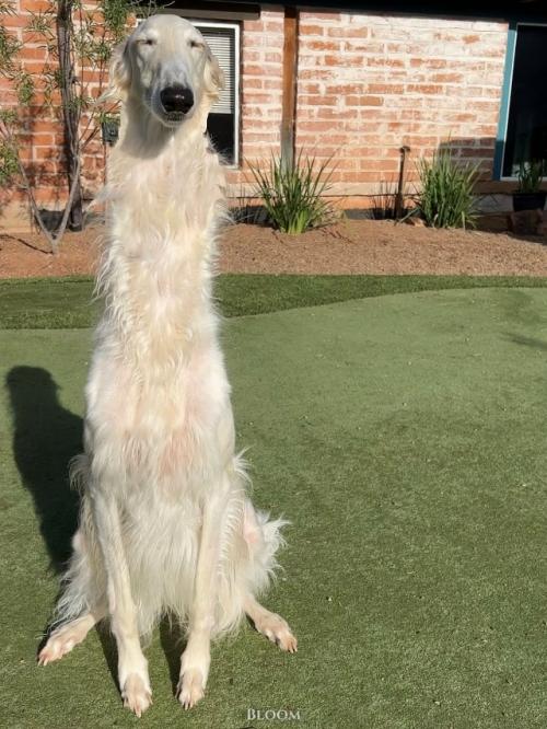 Её зовут ора. 01 Её зовут ора. 01