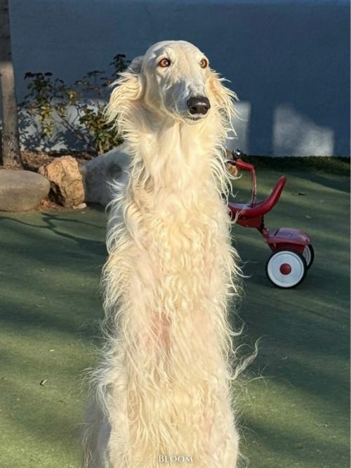 Её зовут ора. 03 Её зовут ора. 03