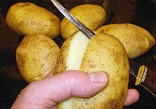Иногда жульен можно вместе с кокотницей съесть. 01