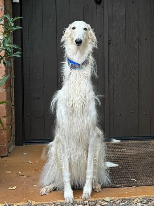 Её зовут ора. 

