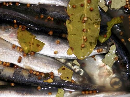 Как засолить селедку. 05 Как засолить селедку. 05