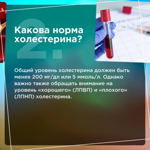 Пожалуй, каждый человек, который хоть немного заботится о своем здоровье, знает, что повышенный холестерин - это опасно. 01