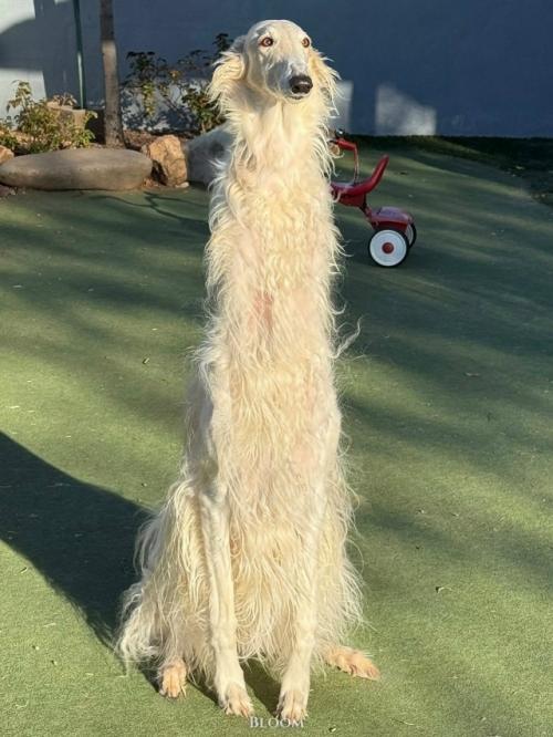 Её зовут ора. 04 Её зовут ора. 04