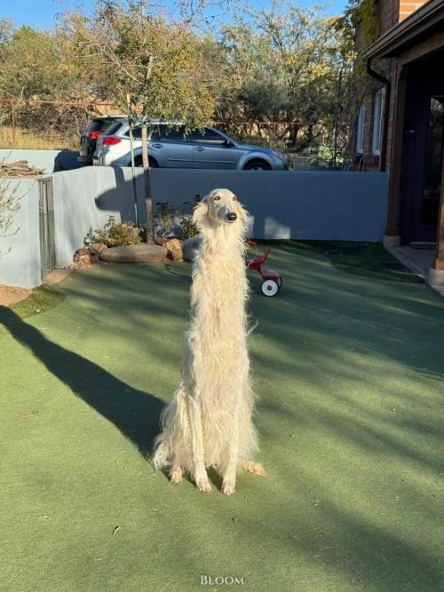 Её зовут ора. 02 Её зовут ора. 02