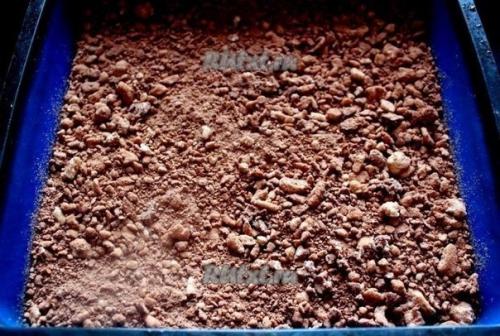 Рецепт печенья с творогом. 04