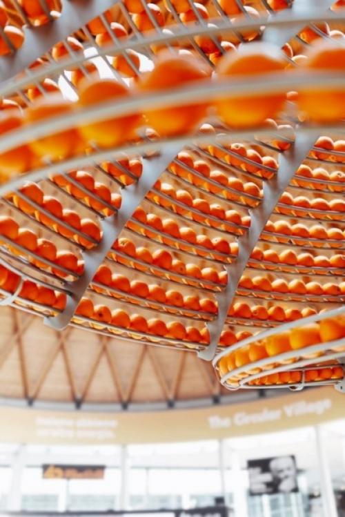 Соковыжималка, которая делает стаканчики из апельсиновых шкурок. 04