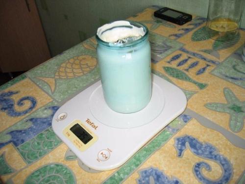 Домашний правильный майонез? 05