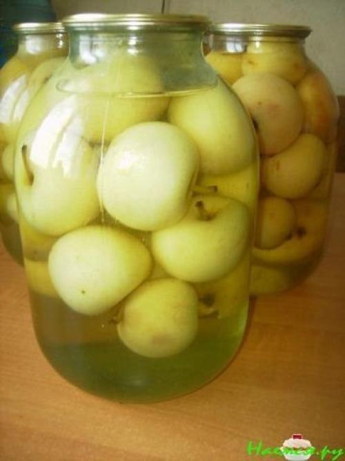 Заготовки из яблок. 04