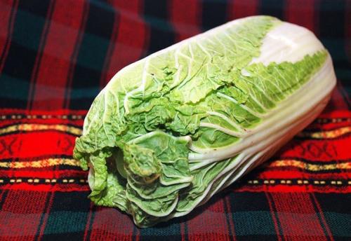 Салат с пекинской капустой, курицей и кукурузой. 01