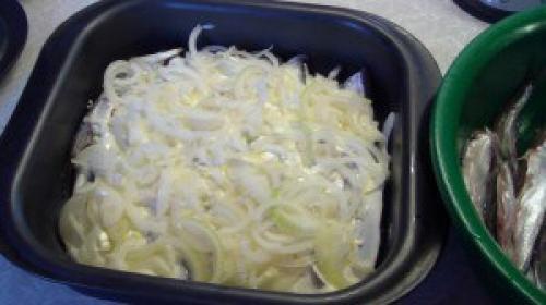 Мойва в сметане.  Быстро, вкусно, недорого! 01