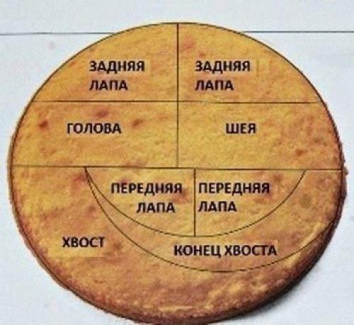 Торт - дракошка!  Ингредиенты: 01