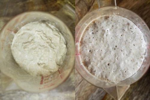 Чиабатта.  Вам потребуется: 04