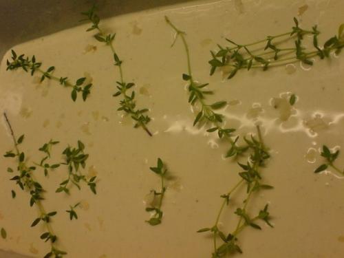 Рулетики из куриной грудки в сырном соусе. 04