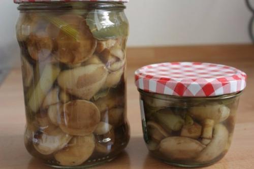 Заготовки из грибов: топ - 10 рецептов? 07