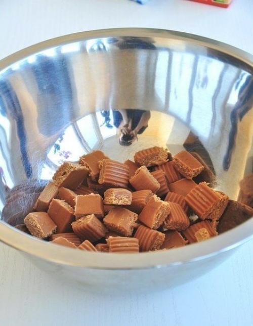 Каждая улыбка или апельсин, помидор Ultricies страхи нужно. 03