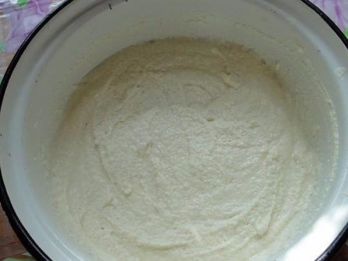 Манник лимонный.  Вы не любите кошек? 01