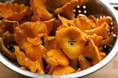 Лазанья с грибами.