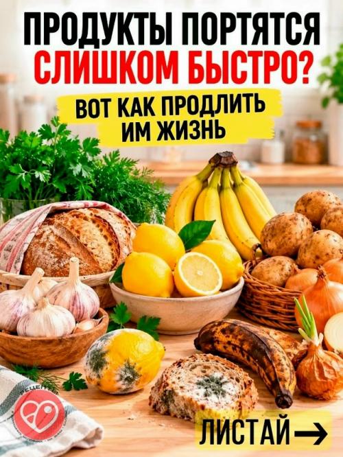 Вы сами ускоряете порчу продуктов.  