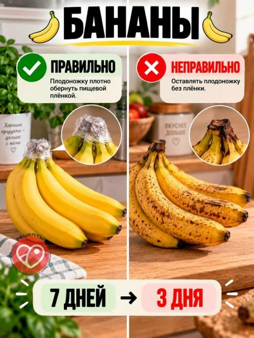 Вы сами ускоряете порчу продуктов. 01 Вы сами ускоряете порчу продуктов. 01