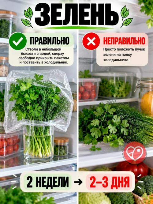 Вы сами ускоряете порчу продуктов. 05 Вы сами ускоряете порчу продуктов. 05