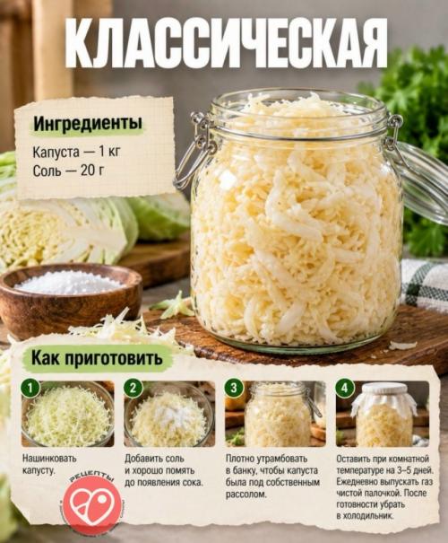 Виды квашеной капусты: от классики до неожиданных вариантов. 01