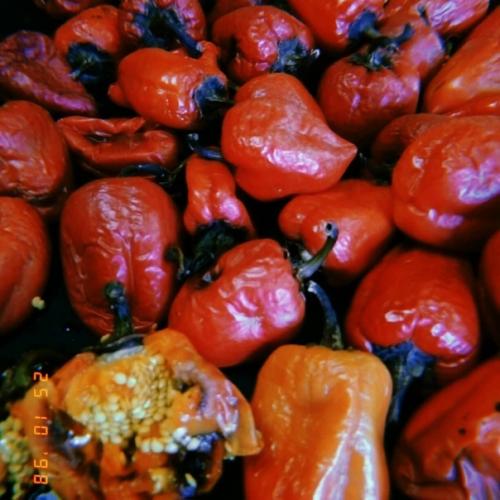 Клуб дам для настоящих!