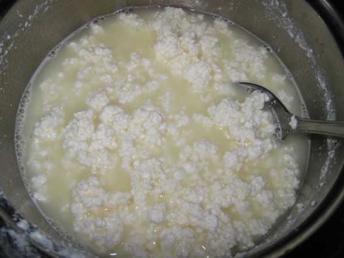 Рецепт Низкокалорийного Собственного Приготовления Сыра. 01