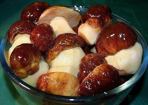 Заготовка сезона.  Осень запасет - зима все приберет!

